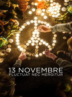 voir 13 novembre : Fluctuat nec mergitur saison 1 épisode 3