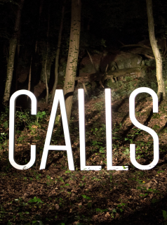 voir Calls saison 3 épisode 4