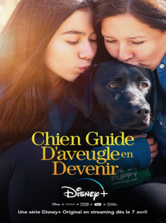voir Chien Guide D'aveugle en Devenir saison 1 épisode 4