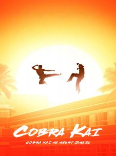 voir Cobra Kai saison 3 épisode 9