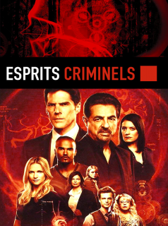 voir Esprits criminels saison 2 épisode 3
