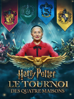 voir Harry Potter : le tournoi des quatre maisons saison 1 épisode 3
