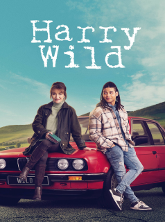 voir Harry Wild saison 1 épisode 4