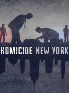 voir Homicide saison 1 épisode 2