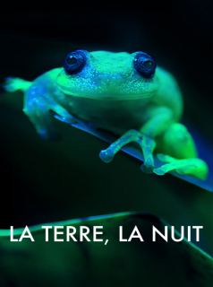 voir La Terre, La Nuit saison 1 épisode 4