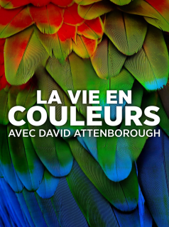 voir La Vie en couleurs avec David Attenborough saison 1 épisode 1