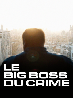 voir Le big boss du crime saison 1 épisode 1