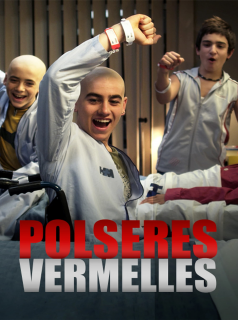 voir Les bracelets rouges saison 1 épisode 12
