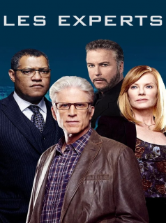 voir Les Experts saison 13 épisode 10