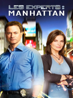 voir Les Experts : Manhattan saison 2 épisode 10
