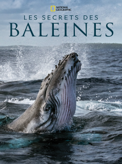 voir Les Secrets des baleines saison 1 épisode 2