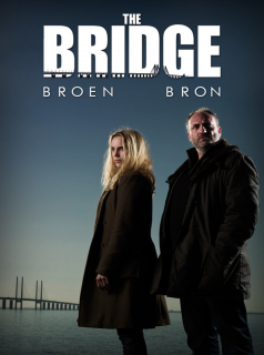 voir The Bridge saison 2 épisode 10