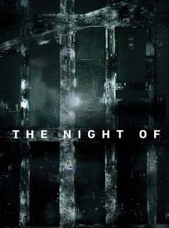 voir The Night of saison 1 épisode 3
