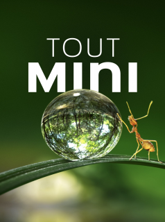voir Tiny World saison 1 épisode 5
