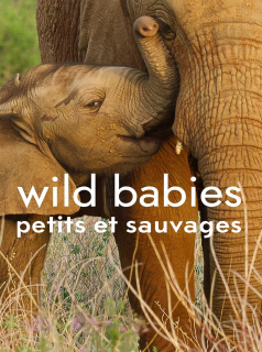 voir Wild Babies : Petits et Sauvages saison 1 épisode 1