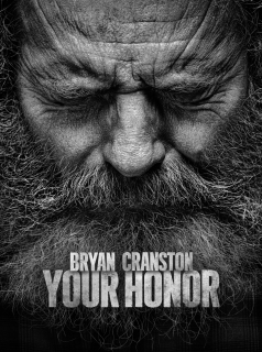 voir Your Honor saison 2 épisode 10