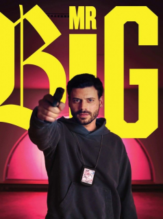 voir MR BIG saison 1 épisode 9